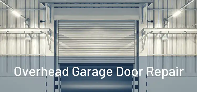  Overhead Garage Door Repair 
